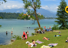 Večna dilema turistov: Blejsko ali Bohinjsko jezero? Zmagalo je ...