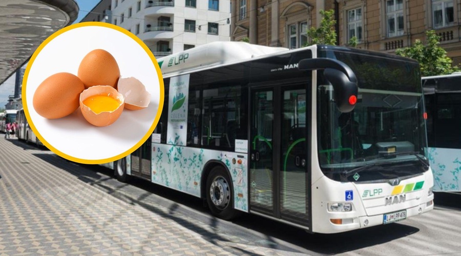 Bizarna nesreča v centru Ljubljane: neznanci v avtobus metali jajca (foto: Facebook/Ljubljanski potniški promet/Profimedia/fotomontaža)