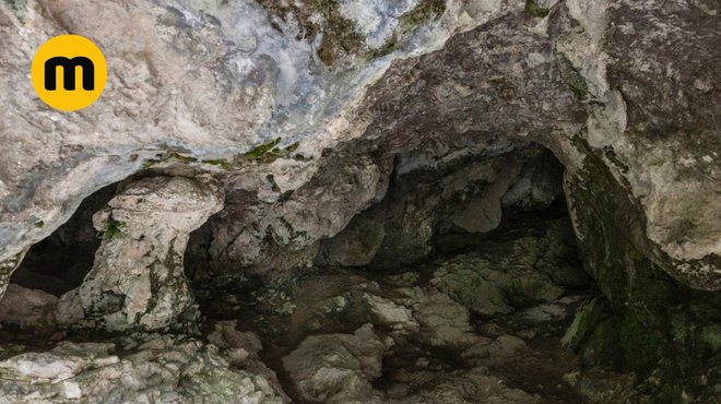 Vhod v jamo Tolminskih korit. (foto: Profimedia)