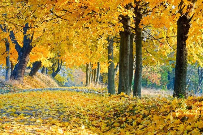 Prvi novembrski konec tedna bo topel in sončen