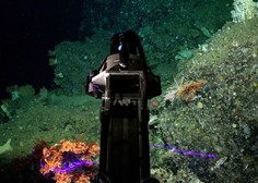 Slovenca del mednarodne skupine, ki je pod morskim dnom odkrila nov ekosistem