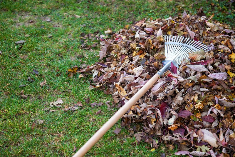 Listje pograbite na kupček in pustite v kotu vrta