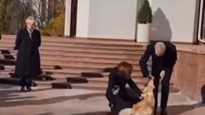 Incident: med obiskom Nataše Pirc Musar v Moldaviji pes tamkajšnje predsednice ugriznil avstrijskega predsednika (foto: YouTube/posnetek zaslona)