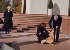 Incident: med obiskom Nataše Pirc Musar v Moldaviji pes tamkajšnje predsednice ugriznil avstrijskega predsednika