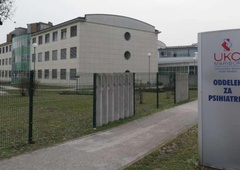 Streljanje v Mariboru: z zračno puško nad psihiatrične bolnike in varnostnika