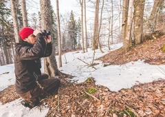 Poznate eno najbolj ogroženih gozdnih živali? Manj kot 600 jih je samo še v Sloveniji …