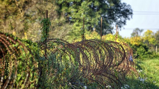 Slovenija se počasi rešuje ograje in žice ob meji (ne boste verjeli, koliko stane odstranitev)