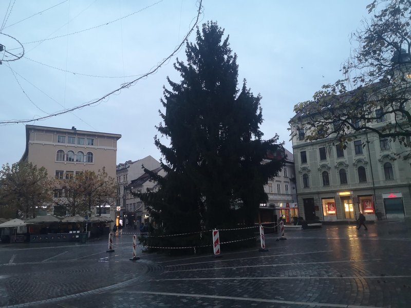 Smreko so pripeljali iz Fužin.