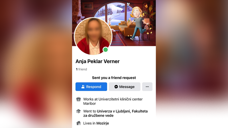 Eden od lažnih profilov na Facebooku, ki so ga ustvarili spletni goljufi. Uporabili so ukradeno fotografijo in neresnične osebne podatke.