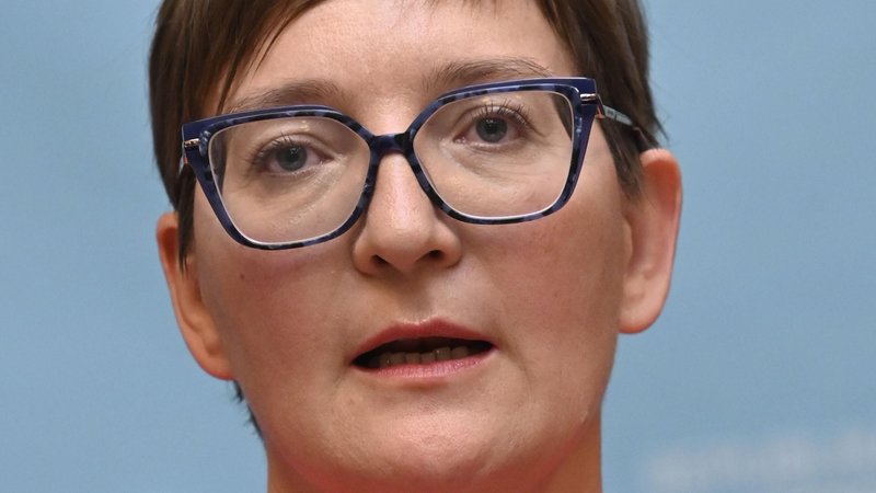 Predsednica Sindikata zdravstva in socialnega varstva Irena Ilešič Čujovič.