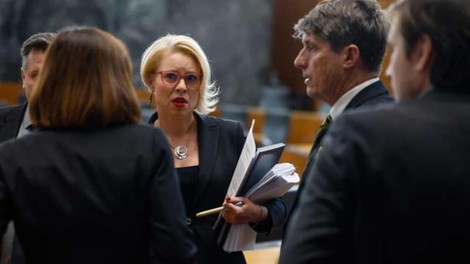 Urška Klakočar Zupančič parlament državni zbor