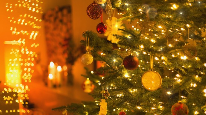 Je mogoče, da ste praznične lučke na božično drevo vse življenje obešali narobe? Ta način vas bo navdušil (VIDEO) (foto: Profimedia)