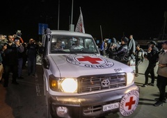 Tragična zgodba štiriletne deklice, ki je bila priča umoru svojih staršev (kar je videla, jo je močno pretreslo)