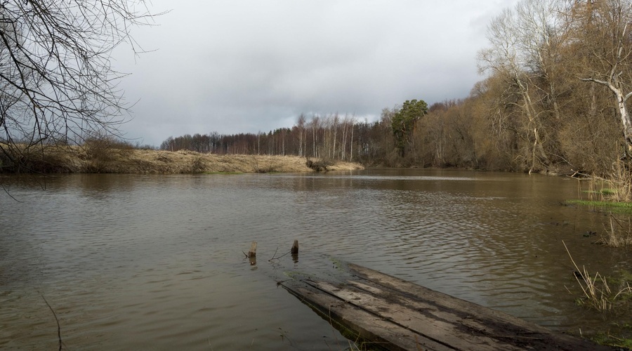 Fotografija je simbolična. (foto: Profimedia)