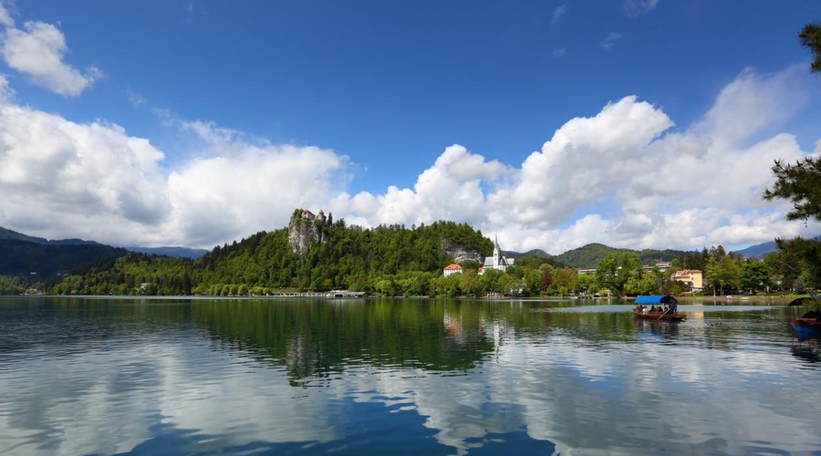 Eksplozivna razprava v državnem zboru: poslanci trdijo, da Slovenija ni več varna država (poglejte, zakaj) (foto: Profimedia)