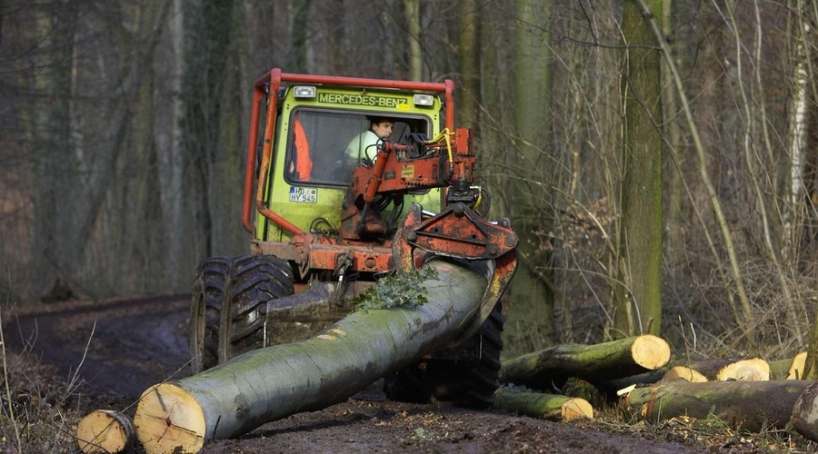 Slika je simbolična. (foto: Profimedia)
