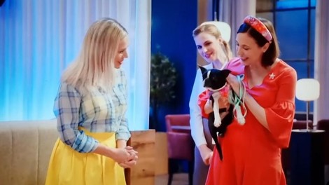 V uspešnici Ja, Chef! v enem prizoru izvrstno zaigralo več psov – ste jih že videli?