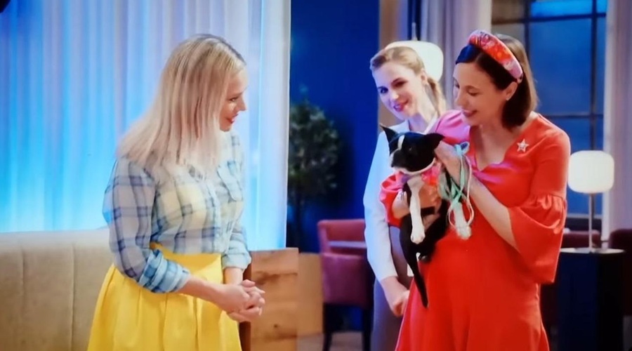 V uspešnici Ja, Chef! v enem prizoru izvrstno zaigralo več psov – ste jih že videli? (foto: Ja chef!/posnetek zaslona)