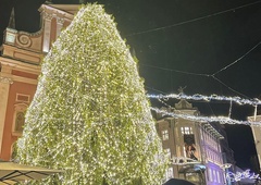 FOTO in VIDEO: Na Prešernovem trgu zasijale lučke in smreka Tina