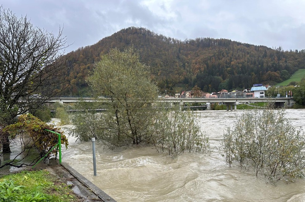 Župani imajo dovolj: na problem opozarjajo že 11 let, a potrebnih ukrepov ni na vidiku (foto: Bobo)