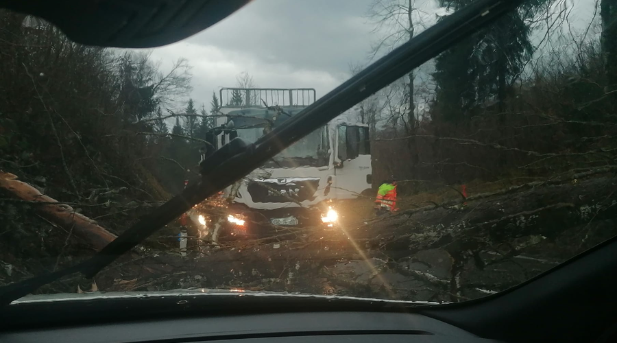 Srhljivo! Padlo drevo za las zgrešilo znano Slovenko: "Nimam besed, kako hvaležna sem, da sem se zvečer varno vrnila domov" (foto: Posnetek zaslona/Fb profil Urša Trebušak Hipnoza)
