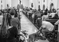 Med mašo odjeknila eksplozija, sledil je popoln kaos