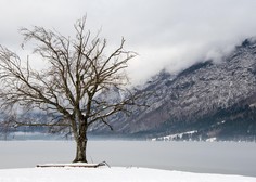 Padavine povzročile nevšečnosti po državi (pozor, težave še vedno na cestah!)