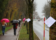 Protest proti sečnji 179 dreves: "Javni prostor v Ljubljani je vse manj javen in vse bolj razprodan bogatim"
