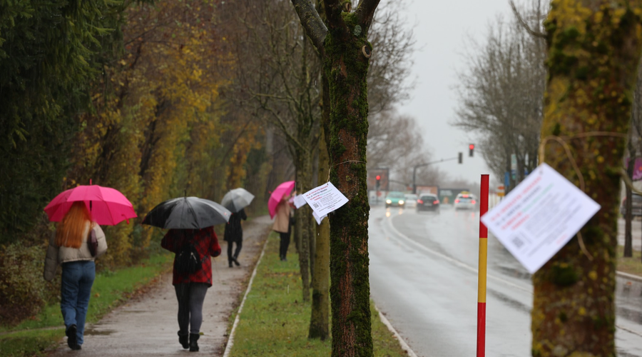 Protest proti sečnji 179 dreves: "Javni prostor v Ljubljani je vse manj javen in vse bolj razprodan bogatim" (foto: Posnetek zasloona/Fb profil Levica Ljubljana)