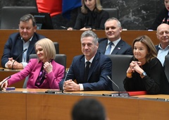 Slovenska vlada bogatejša še za enega podpredsednika