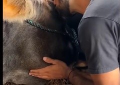 Kako ganljivo: dobri ljudje rešijo slepo kravo, poglejte, kako jim vrača naklonjenost