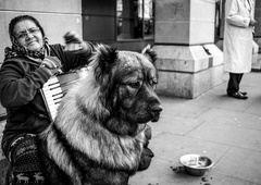 Tudi tako krute zgodbe so del decembrskih mest: ne podpirajte jih!