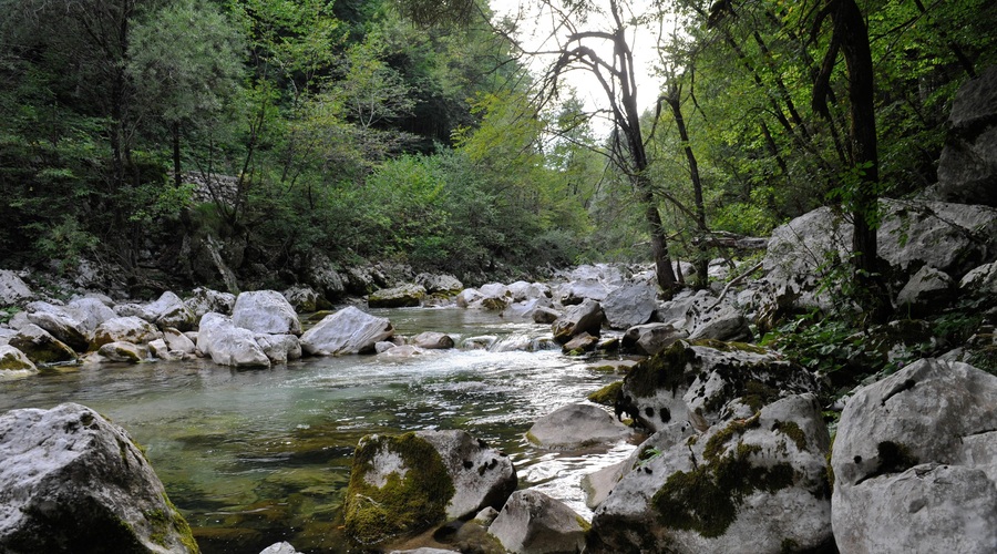 Nedeljska groza na Tolminskem: v reki Idrijci našli truplo (foto: Urška Živulovic/Bobo)