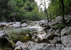 Nedeljska groza na Tolminskem: v reki Idrijci našli truplo