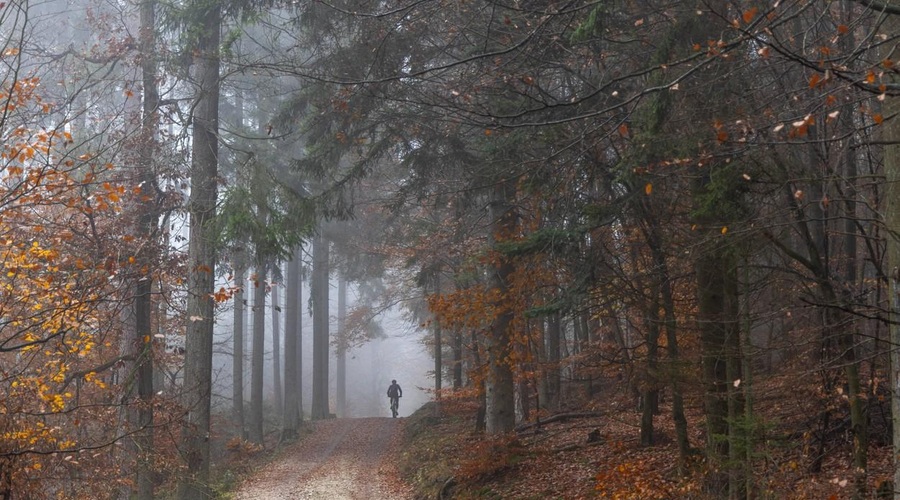 Sveža vremenska napoved: hud mraz se bo za nekaj časa poslovil (foto: Profimedia)
