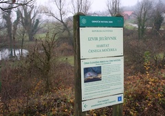 Nepričakovano odkritje v Beli krajini, ki je zmedlo znanstvenike