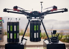 Z droni posejali težko dostopne terene na pogorelem Krasu