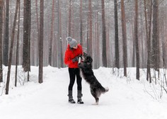 Novoletna zaobljuba: biti (še) boljši pasji lastnik (10 nasvetov)