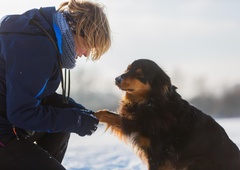Pasje šapice so pozimi zelo ogrožene – kako poskrbeti zanje?