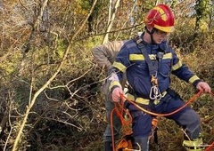 Decembrski čudež: v Poreču iz globoke jame reševali prestrašenega psa
