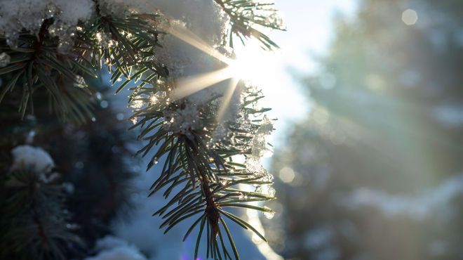 Pred božičnimi prazniki se obeta zelo neobičajno vreme: se lahko od zimske idile poslovimo? (foto: Profimedia)