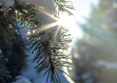 Teden se bo končal s prijetnimi temperaturami in soncem, nato pa ...