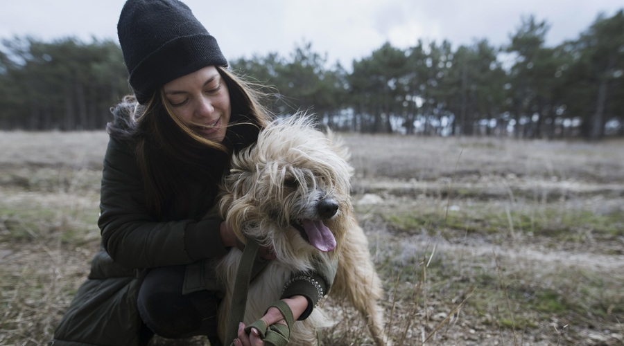 Zavetišče Horjul počasi ustavlja posvajanje živali (razlog je nadvse logičen) (foto: Profimedia)