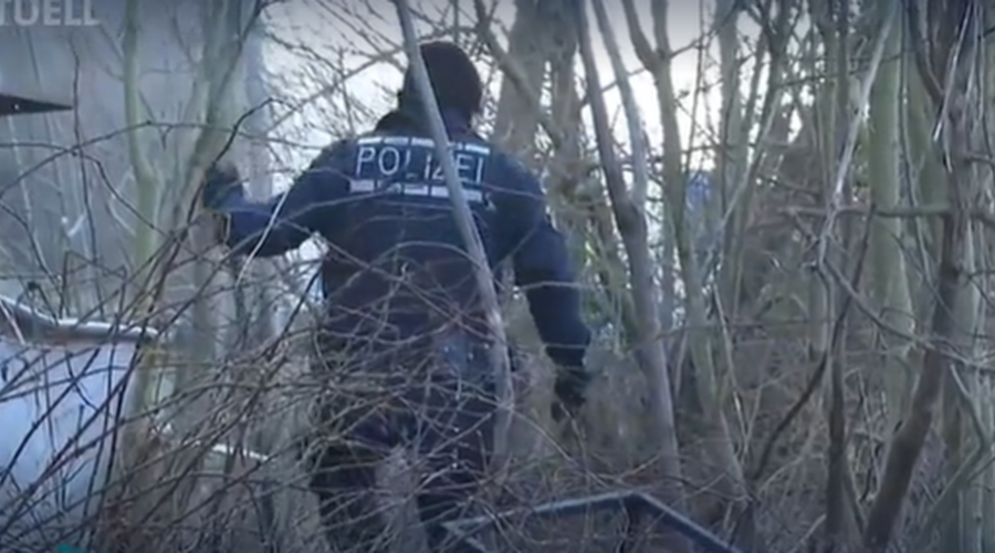 Kdo bo odgovarjal za tragično smrt dveletne deklice? Policija pod drobnogled vzela dekličino mamo (foto: Posnetek zaslona/SWR)