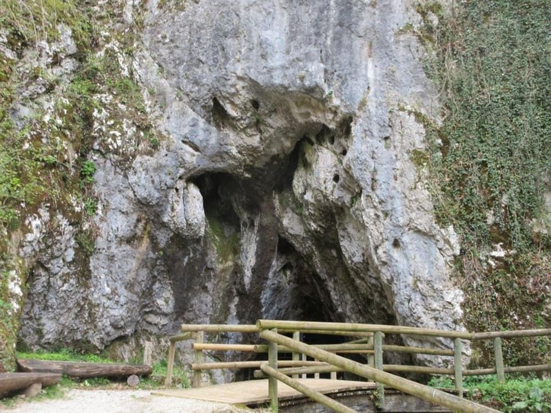 Jama Pekel je kraška jama, ki se nahaja severno od Šempetra v Savinjski dolini.