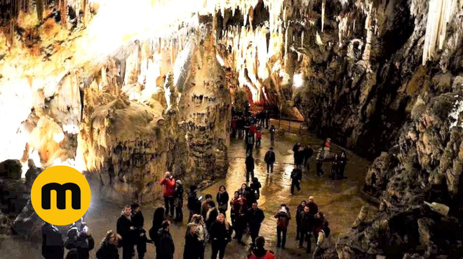 Turisti ne vedo, ali obiskati Postojnsko ali Škocjanske jame? Večina jim je odgovorila, da ... (foto: Samo Šmarčan)