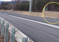 Na slovenski avtocesti je obtičal mucek. Kar je sledilo, vas bo raznežilo