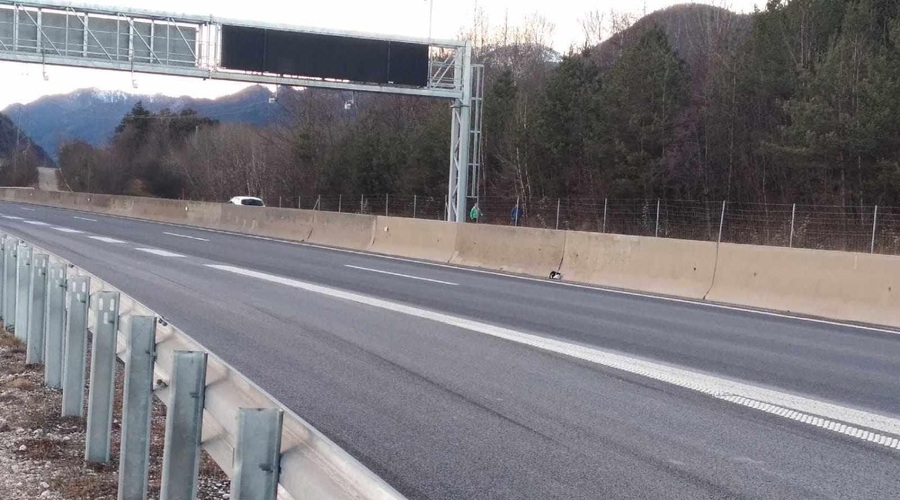 Lahko bi se končalo tragično: to je otrok počel na odseku avtoceste, kjer dnevno prihaja do trčenj (FOTO) (foto: Facebook/Zavetišče Horjul)
