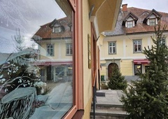 Radovljica v prazničnem decembru izstopa: namesto na lučke stavijo na ... (FOTO)