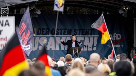 afd shod nemčija